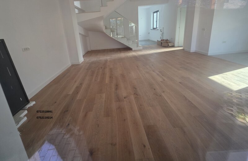 Bucurestii Noi Vila deosebita 2025,